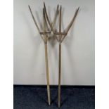 Two rustic hay forks