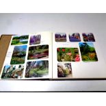 An album containing a large quantity of 20th century colour postcards, wildlife, tourist, Wiltshire,