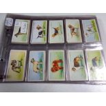 Quantity of Gallagher John player Wills cigarette cards including butterflies and moths,