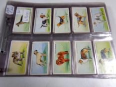 Quantity of Gallagher John player Wills cigarette cards including butterflies and moths,