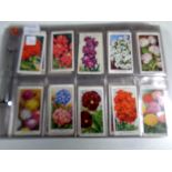 Quantity of Gallagher Wills cigarette cards, Garden flowers, wild flowers,