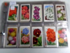 Quantity of Gallagher Wills cigarette cards, Garden flowers, wild flowers,