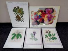 A Banks' Florilegium print - Specimens collected by Captain James Cook,