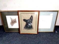 A framed drawing of a dog by Hogarth, dated 1995, together with two further signed pictures, cats,