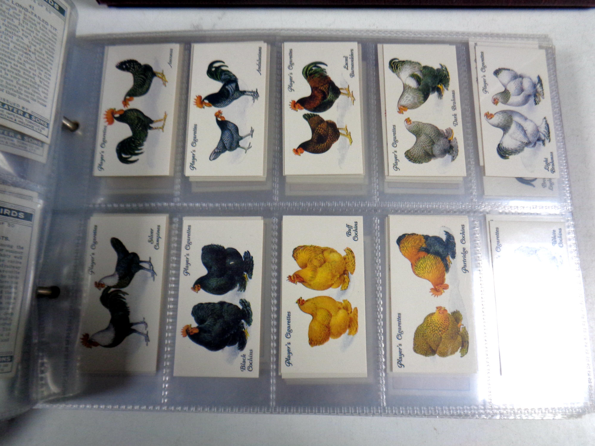 An album of John Player and Wills cigarette cards including wild birds, - Image 3 of 3