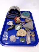 A tray containing fossil samples,