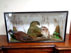 An early 20th century glazed taxidermy cabinet containing pheasants