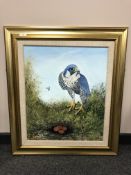 Liz Gwither : Peregrine Falcon on nest, oil on board, 49 x 59 cm, signed,