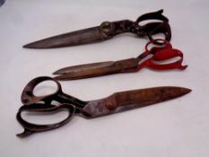 Three pairs of tailor's shears