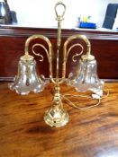 A brass table lamp with pair of glass shades