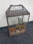 A metal and glass terrarium containing cacti (as found)