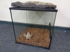 A Exo Terra vivarium