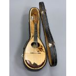 A fine Carlo Mazzaccara bowl back mandolin, cased.