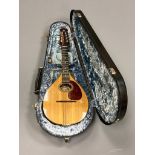A Dave Gregory mandolin, numbered 120, York 1990, cased.