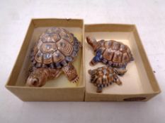 Three graduated Wade ceramic tortoises with original Wade box