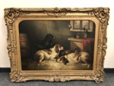 Manner of George Armfield (1808-1893) : Four spaniels at rest by a barrel, oil on canvas,