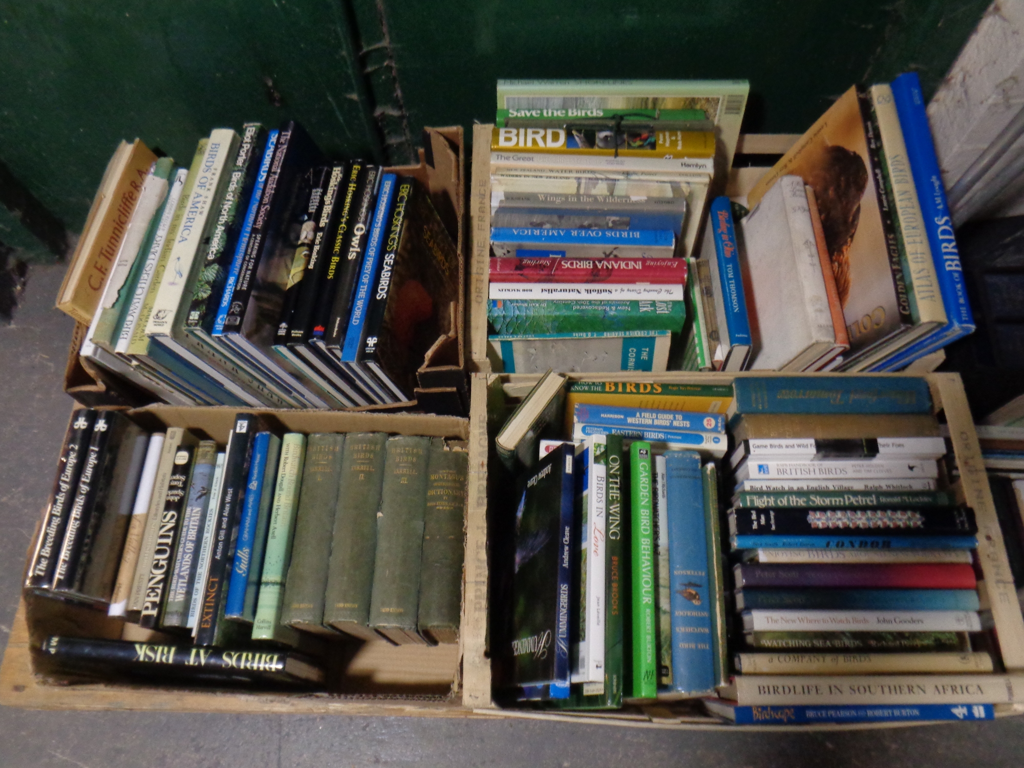 Four boxes of hardbacked books relating to birds