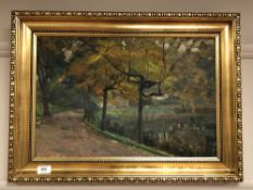 Continental school : trees by a lake, oil on canvas,