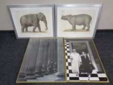 Two framed colour prints - Elephant and Rhino, comedy of errors theatre poster,