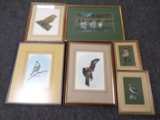Six Hugh Chambers watercolours depicting birds, all parts framed.
