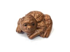 A Japanese carved fruitwood netsuke - Giant turtle.