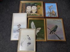 Six Hugh Chambers oil paintings depicting birds including Barn owl,