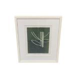 Bridget Jones : Winter Cabbage, artist proof, signed in pencil, 21 cm x 29 cm, framed.