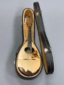 A fine Carlo Mazzaccara bowl back mandolin, cased.