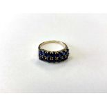 A 9ct gold dress ring set with blue Tibetan Kyanite stones (2.67ct), size P.