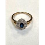 A 9ct gold diamond and sapphire cluster ring, millgrain set 0.