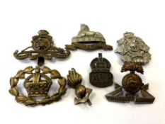 Military badges including a silver ARP example