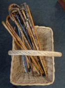 A large wicker log basket containing a quantity of assorted walking sticks and parasols including