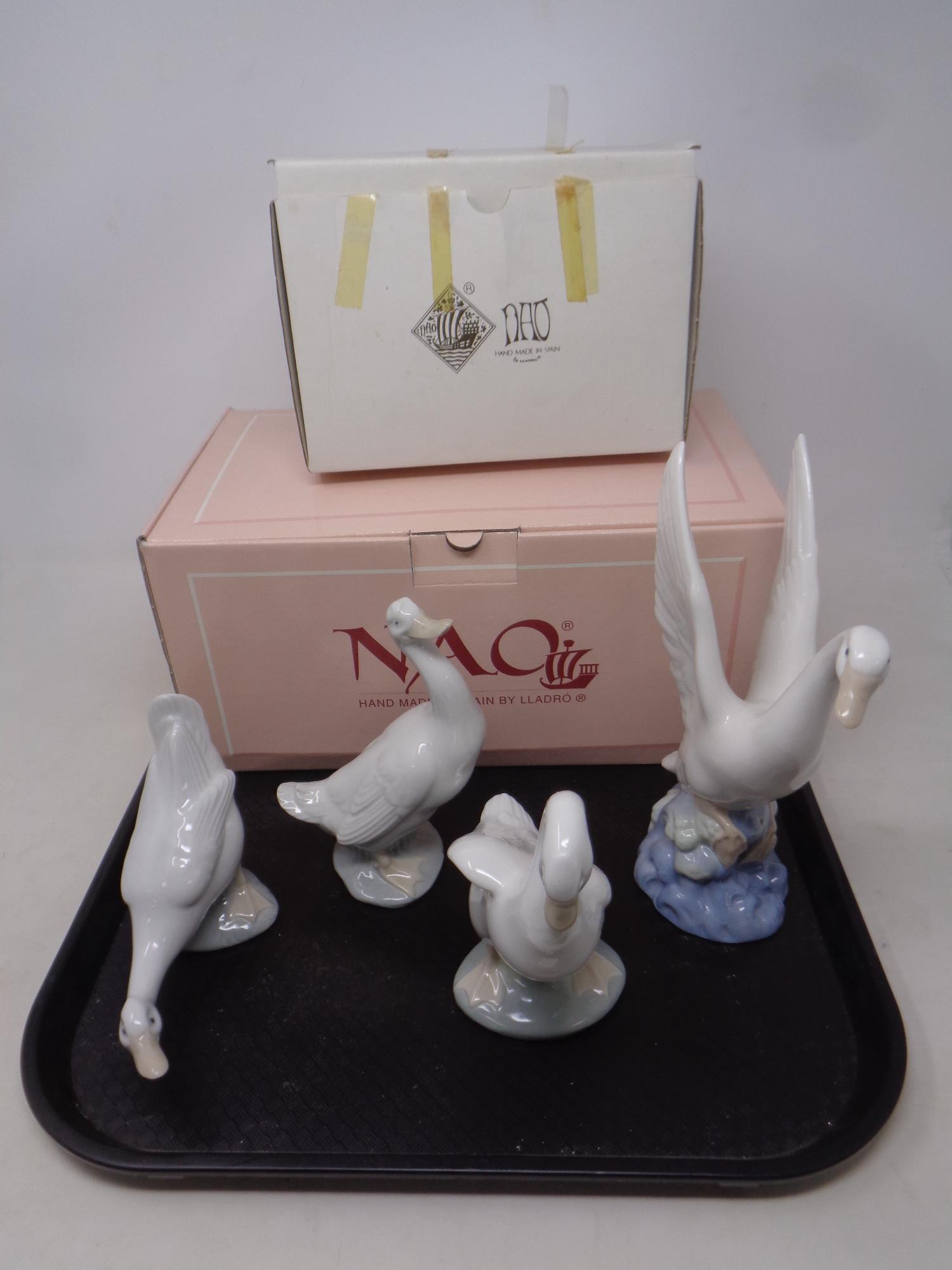 Four Nao duck and swan figures (2 boxed)