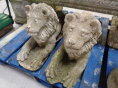 A pair of concrete recumbent lions.