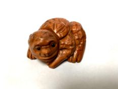 A Japanese carved fruitwood netsuke - Giant Turtle.