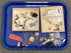 A tray of costume jewellery, brooches, chain, pendant etc.