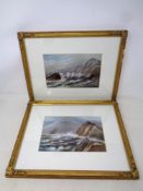 A pair of watercolours depicting sea birds on a stormy coast line, initialled E. C.