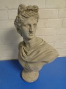 A concrete garden bust of Apollo