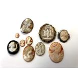 A collection of cameos and cameo brooches