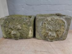 A pair of weathered concrete lion mask planters