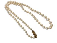 A strand of pearls with gold clasp