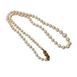 A strand of pearls with gold clasp