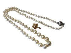 A strap of pearls with silver clasp and a 14ct gold pearl pendant