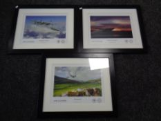 Three The People's Mosquito prints in frames and mounts