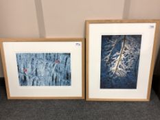 Simon Fraser : Beech Branch and Snow, colour photograph, signed in pencil, 42 cm x 28 cm,