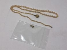 A single strand cultured pearl necklace on 9ct gold clasp, length 56cm.