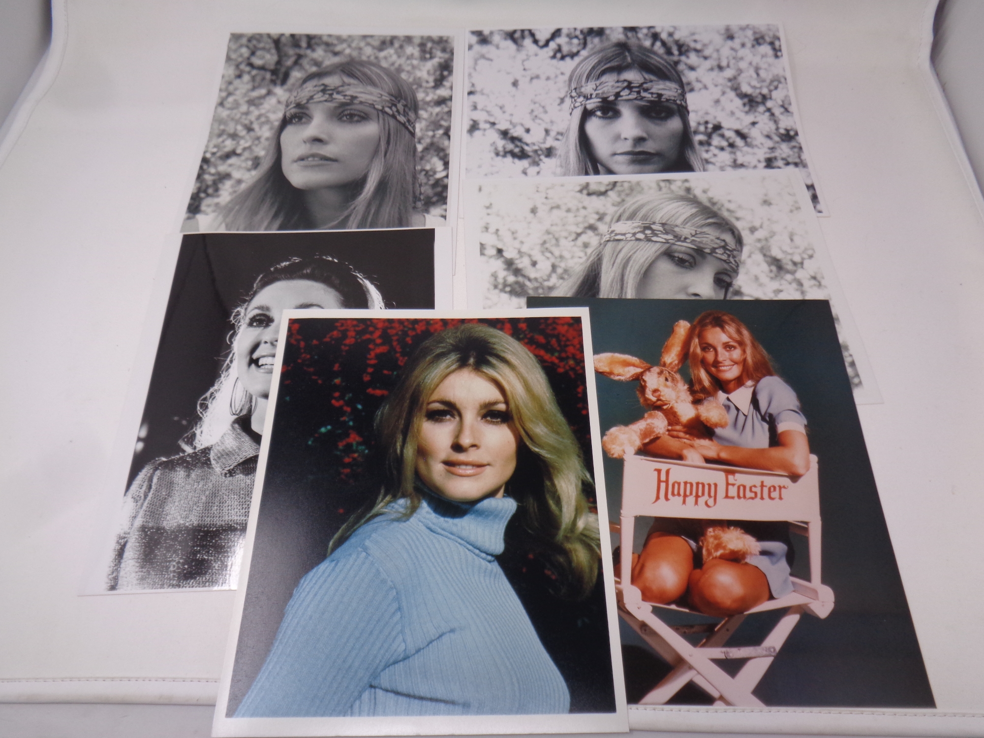 Collection of 20th century photographs of Sharon Tate.