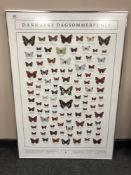 A Danish poster depicting butterflies, 71 cm x 101 cm.