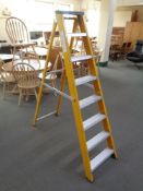 A set of Lyte eight tread folding ladders