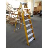 A set of Lyte eight tread folding ladders